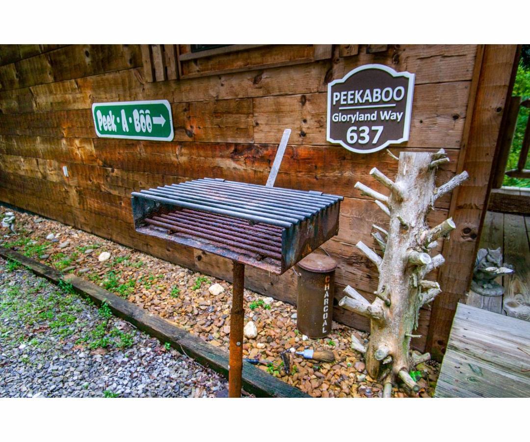 ピジョンフォージ Peekaboo With Hot Tub, Pool Table, And Jacuzziヴィラ エクステリア 写真